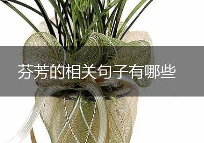 芬芳的相关句子有哪些
