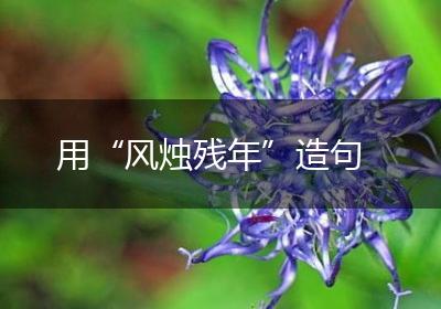 用“风烛残年”造句