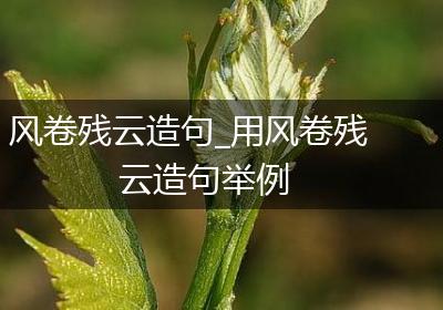 风卷残云造句_用风卷残云造句举例