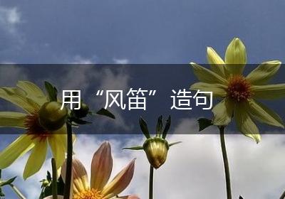 用“风笛”造句
