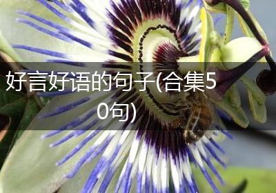 好言好语的句子(合集50句)