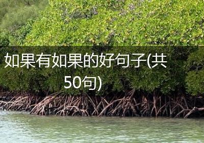 如果有如果的好句子(共50句)