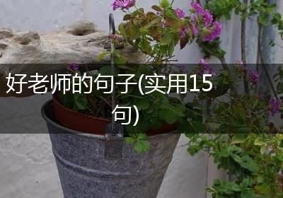 好老师的句子(实用15句)