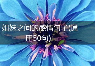姐妹之间的感情句子(通用50句)