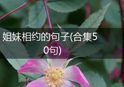 姐妹相约的句子(合集50句)