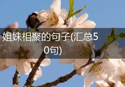 姐妹相聚的句子(汇总50句)