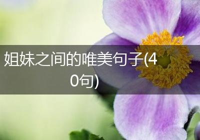 姐妹之间的唯美句子(40句)