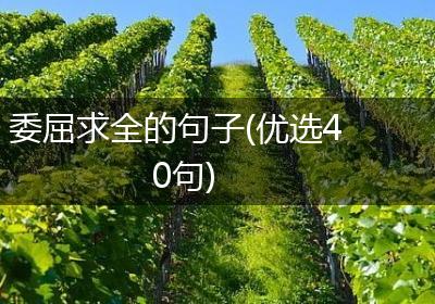 委屈求全的句子(优选40句)