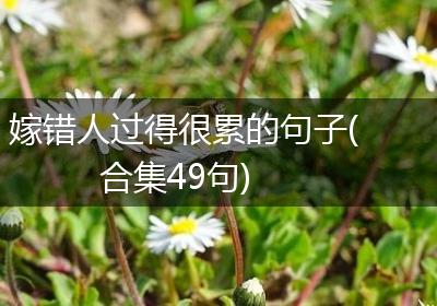 嫁错人过得很累的句子(合集49句)