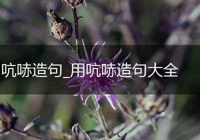 吭哧造句_用吭哧造句大全