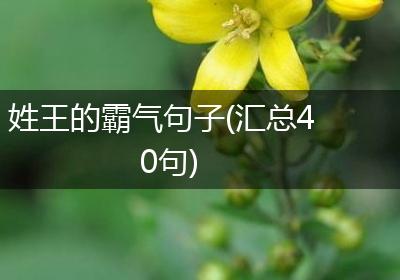 姓王的霸气句子(汇总40句)