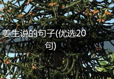 姜生说的句子(优选20句)