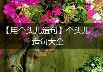 【用个头儿造句】个头儿造句大全