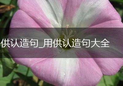 供认造句_用供认造句大全