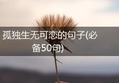 孤独生无可恋的句子(必备50句)