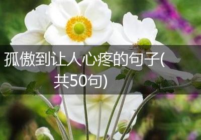 孤傲到让人心疼的句子(共50句)