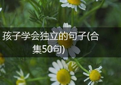 孩子学会独立的句子(合集50句)