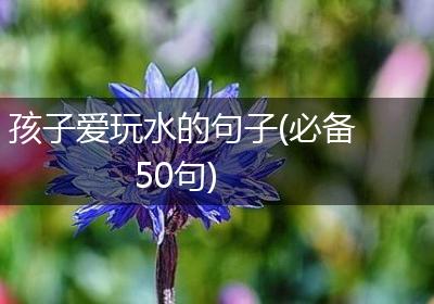 孩子爱玩水的句子(必备50句)