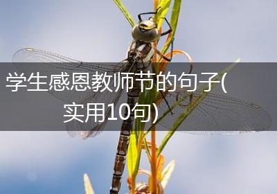 学生感恩教师节的句子(实用10句)