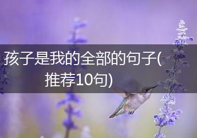孩子是我的全部的句子(推荐10句)