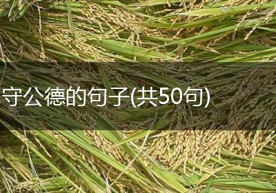守公德的句子(共50句)