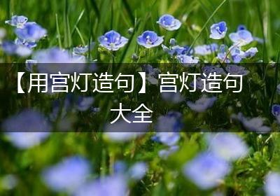 【用宫灯造句】宫灯造句大全