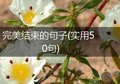 完美结束的句子(实用50句)