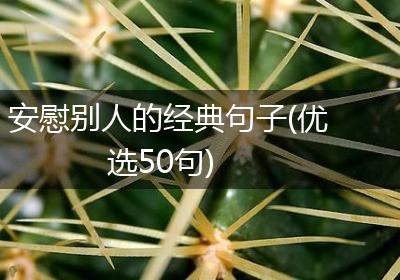 安慰别人的经典句子(优选50句)