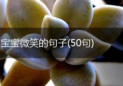 宝宝微笑的句子(50句)