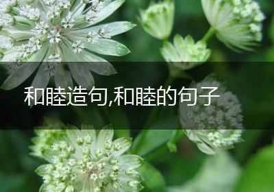和睦造句,和睦的句子