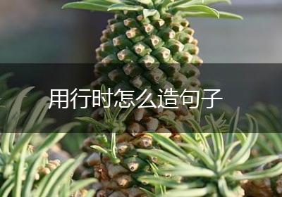用行时怎么造句子
