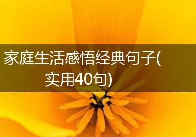 家庭生活感悟经典句子(实用40句)