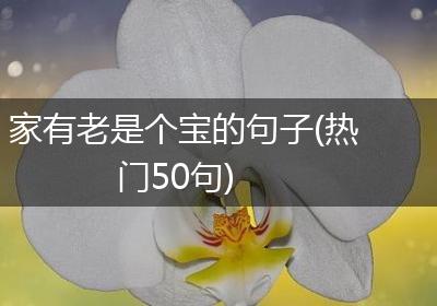 家有老是个宝的句子(热门50句)