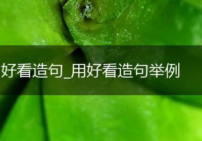 好看造句_用好看造句举例