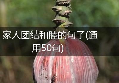 家人团结和睦的句子(通用50句)