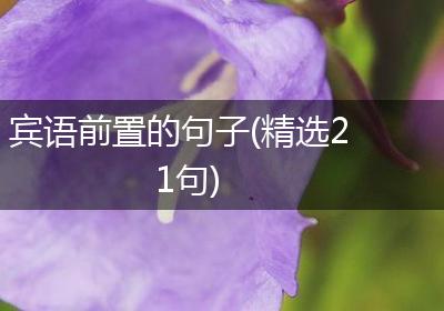 宾语前置的句子(精选21句)