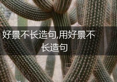 好景不长造句,用好景不长造句