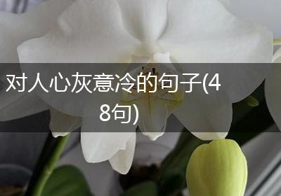 对人心灰意冷的句子(48句)
