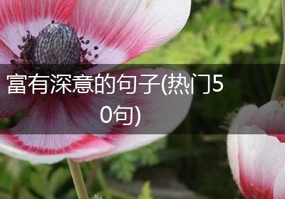 富有深意的句子(热门50句)