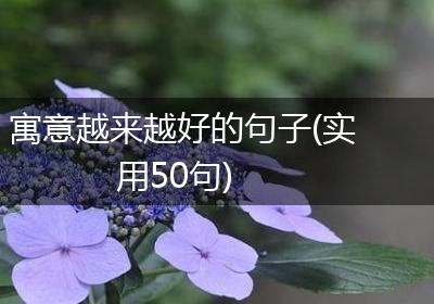寓意越来越好的句子(实用50句)