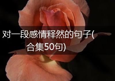 对一段感情释然的句子(合集50句)