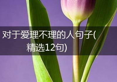 对于爱理不理的人句子(精选12句)