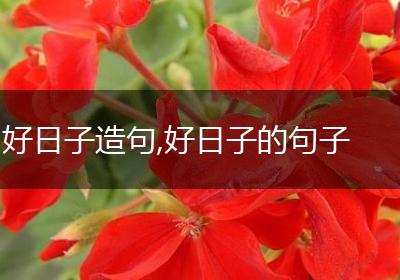 好日子造句,好日子的句子