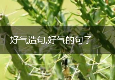 好气造句,好气的句子