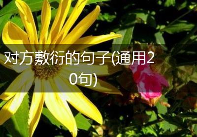 对方敷衍的句子(通用20句)