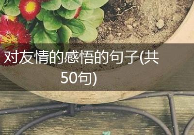 对友情的感悟的句子(共50句)