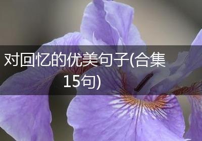 对回忆的优美句子(合集15句)