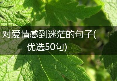 对爱情感到迷茫的句子(优选50句)