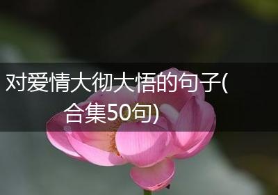 对爱情大彻大悟的句子(合集50句)
