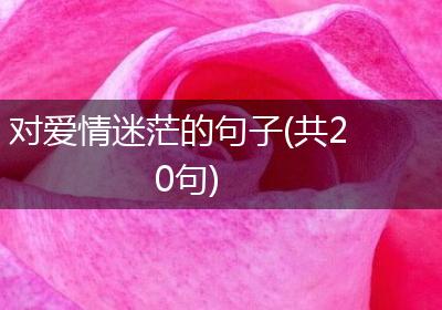 对爱情迷茫的句子(共20句)